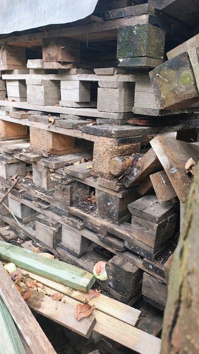Palety drewniane około 25-30sztuk