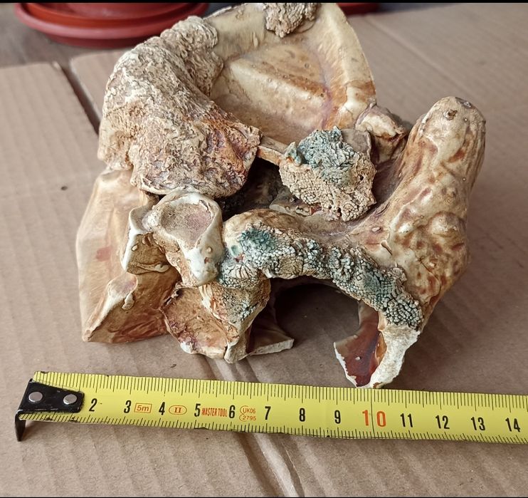 Аквариумный декор