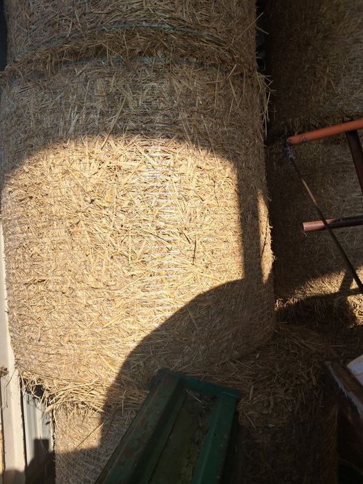 Sprzedam słomę  z pod dachu 120