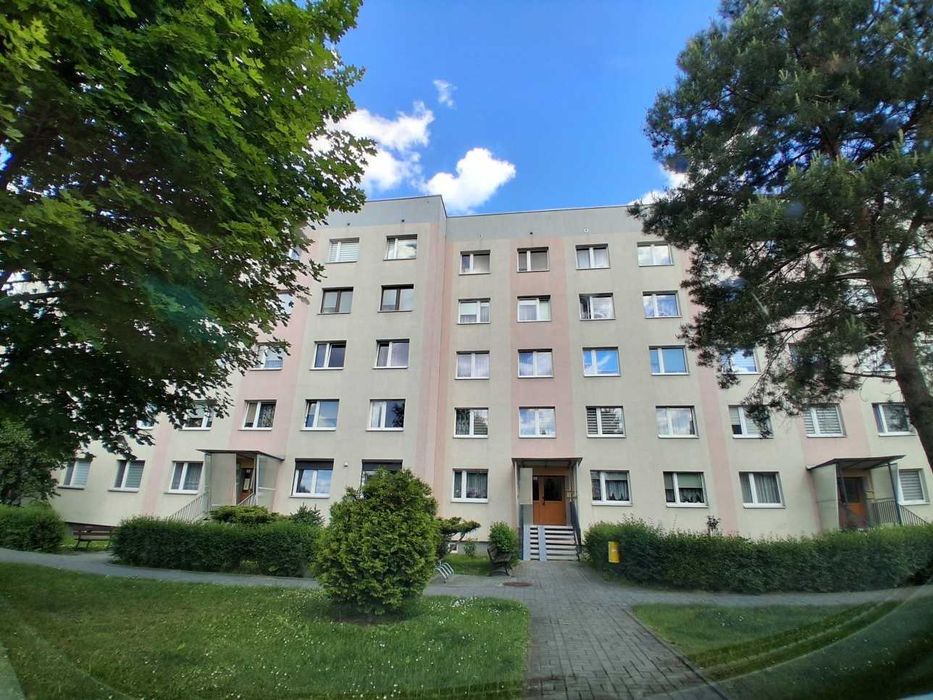 Zdjęcie 6
