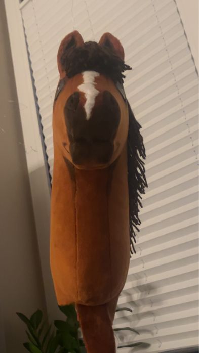 Hobby horse RSN.