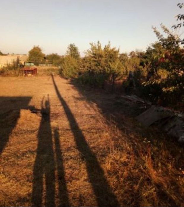 Продажа дачного участка