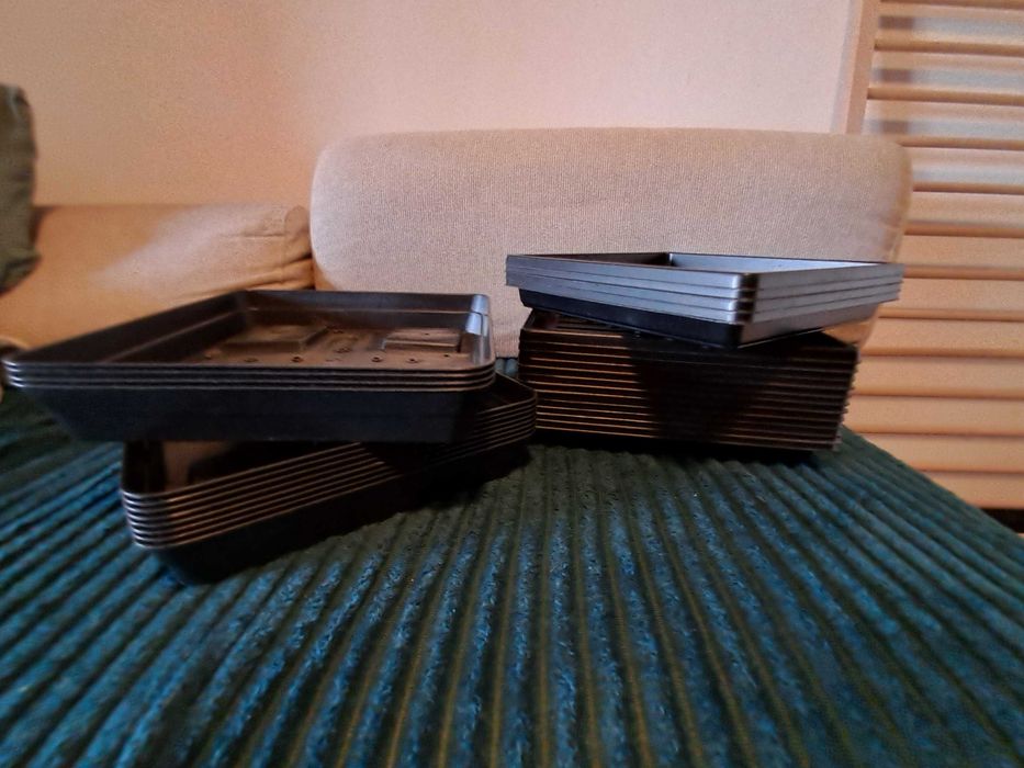 Equipamentos profissionais e sementes orgânicas cultura interior