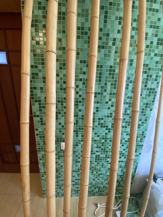 Бамбук для декора