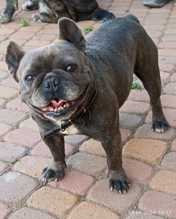 Мальчик для вязки.