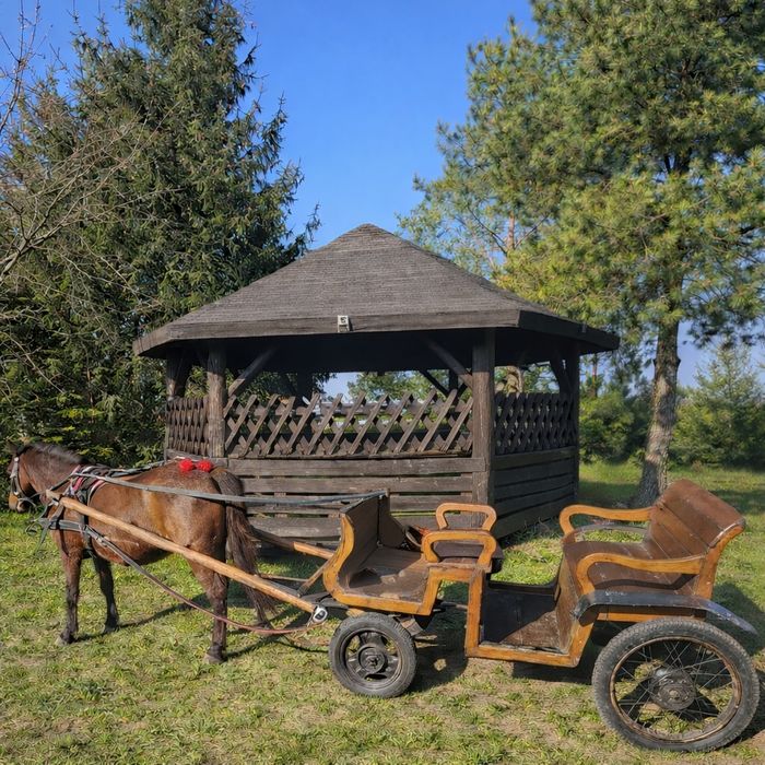 Bryczka dla kuca