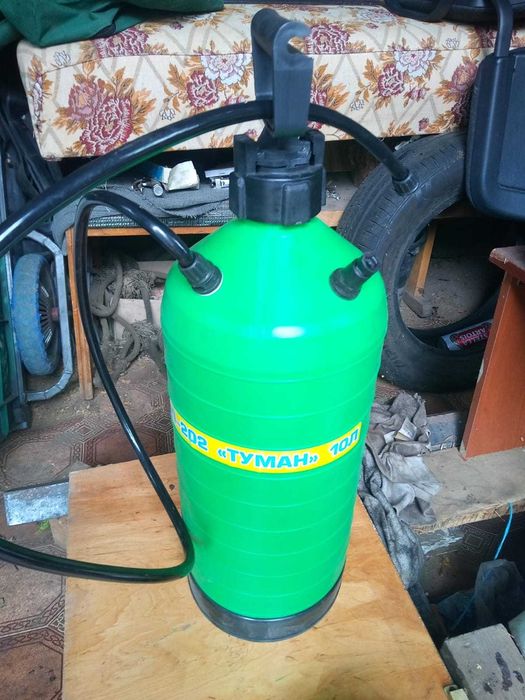 Рапан рапан рапан