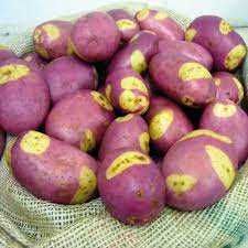 Batata TIGRE ROSA, deliciosa para comêr
