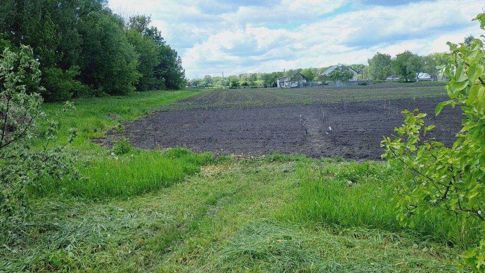 Продається  будинок село Курінь, Чернігівська область