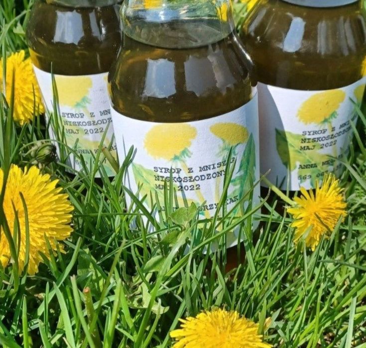 2x Syrop z kwiatów mniszka majowy