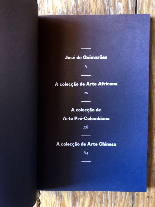 Guia da Colecção CIAJG: Para Além da História