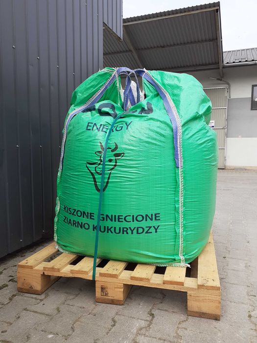 Kukurydza ziarno kiszone gniecione - cena brutto z dostawa