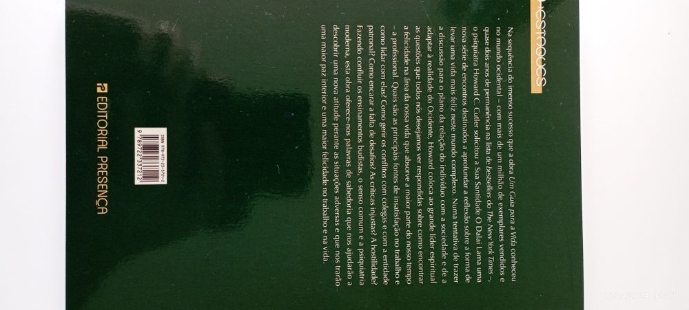 Realização e Serenidade na Vida Profissional Dalai Lama