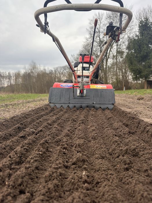 Glebogryzarka Honda Yanmar dzik