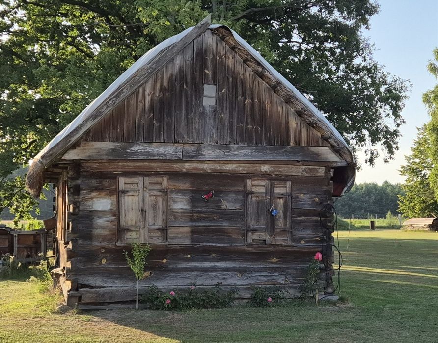 Stary drewniany dom z grubych bali