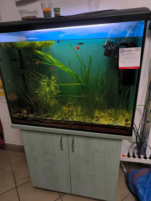 Sprzedam Akwarium z szafką 170l (80x35x60)