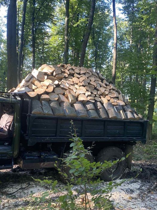 Продам дрова твердоі породи