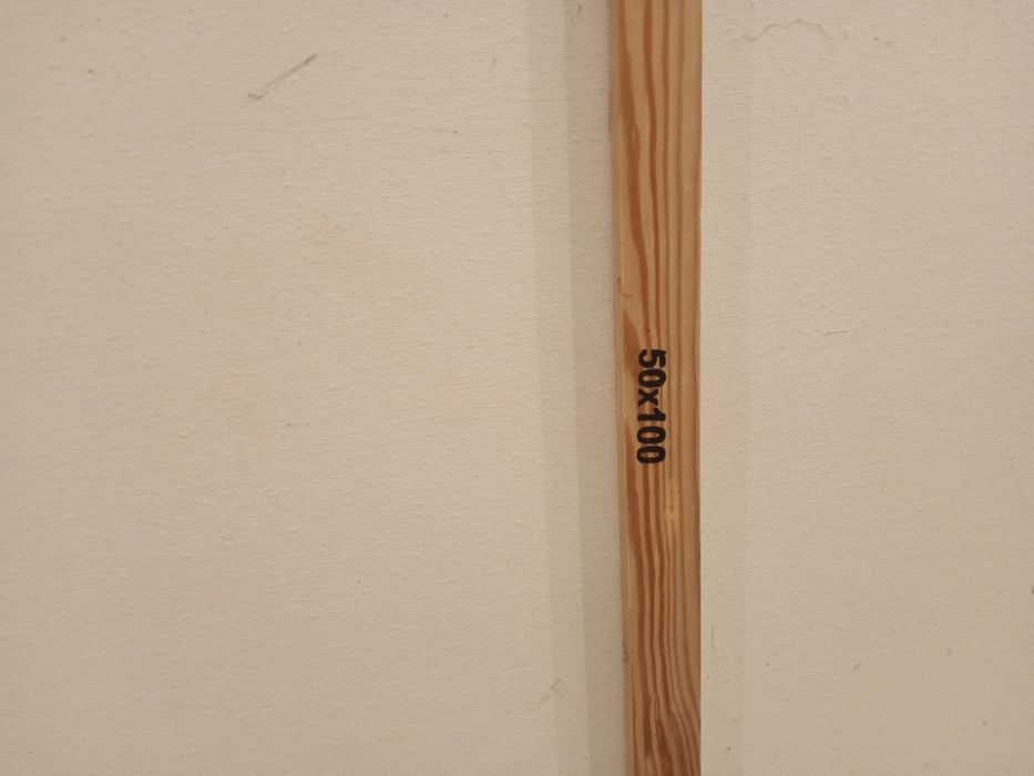 Obraz malowany na płótnie 50/100