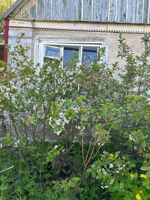 Продається дача ( СТ Експрес, с. Баловне), 10 хв. до річкія. потребує ремонту