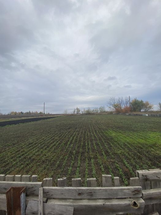 Будинок в Созоновкі