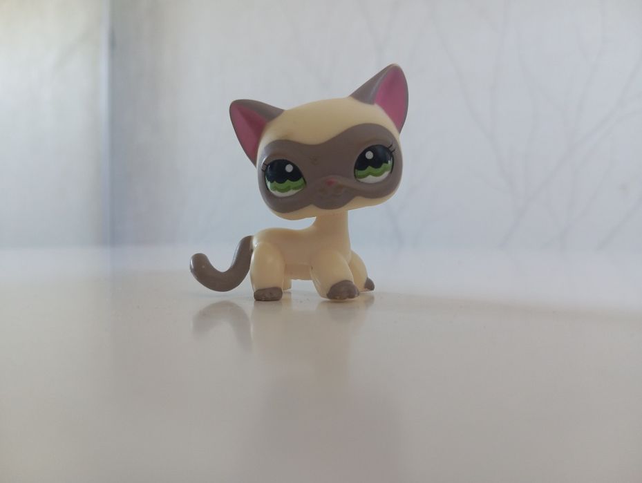 LPS siamese Shorthair Cat #1116