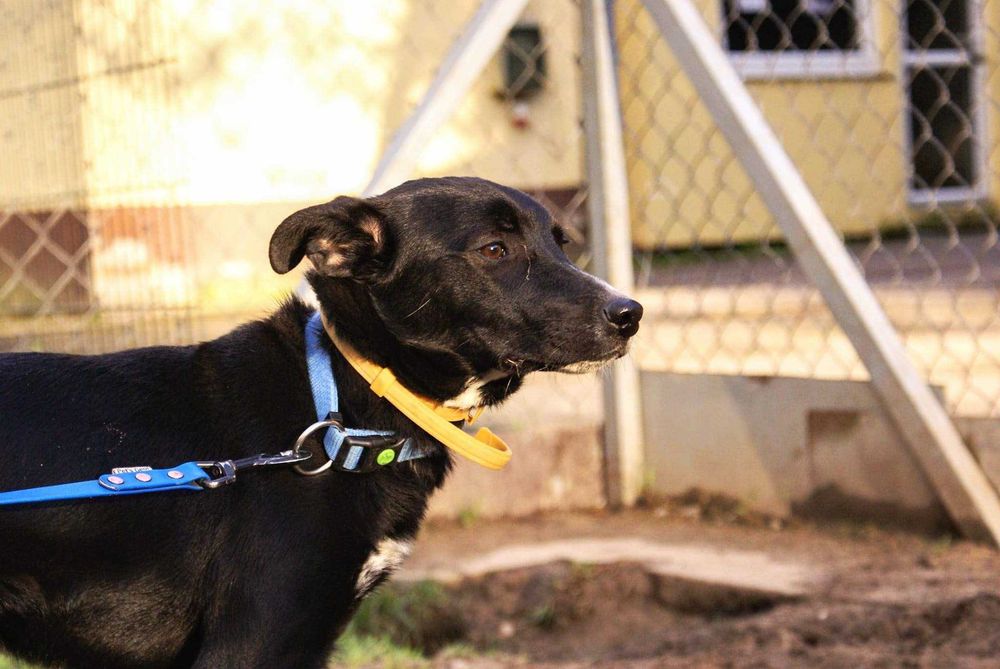 Neptun szuka kochającego domu