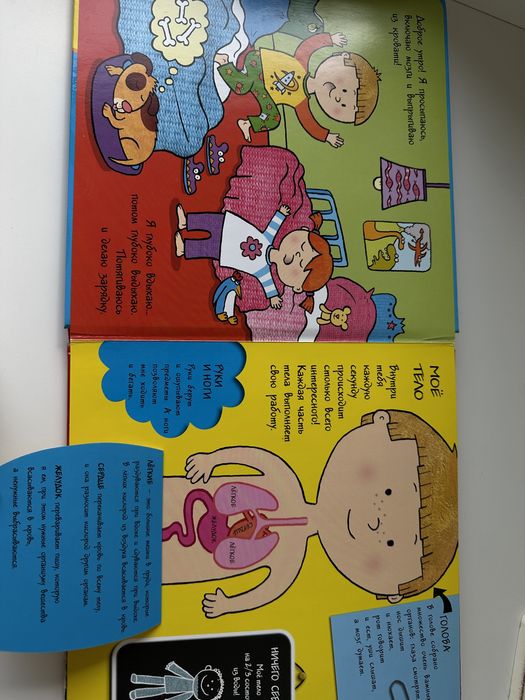 Книга «Мое тело», для малышей