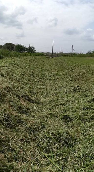 Limpeza de terrenos