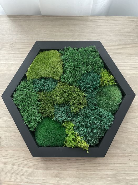 Obraz z mchu stabilizowanego - rekodzieto