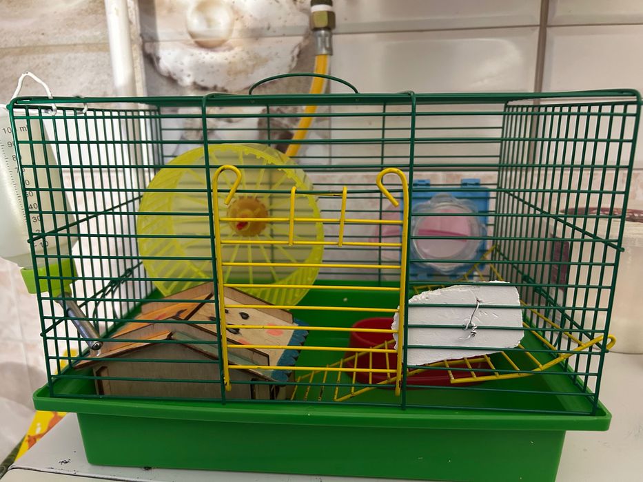 Клітка для хомʼяка