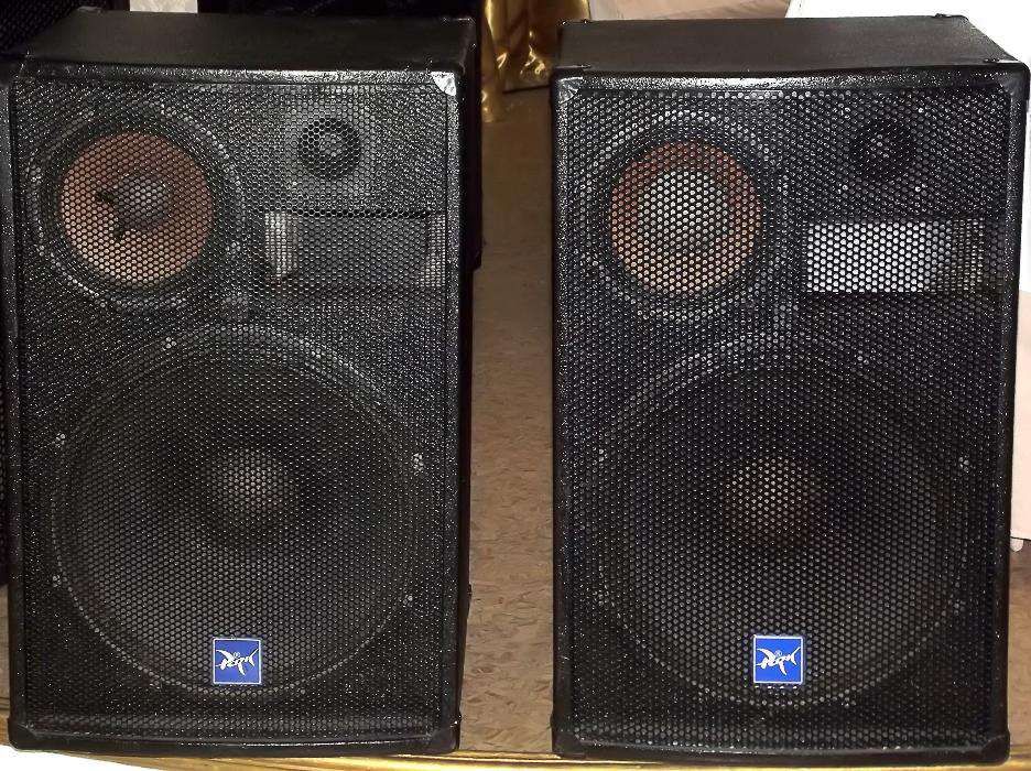 Активная акустическая система Park Audio GAMMA 4315.