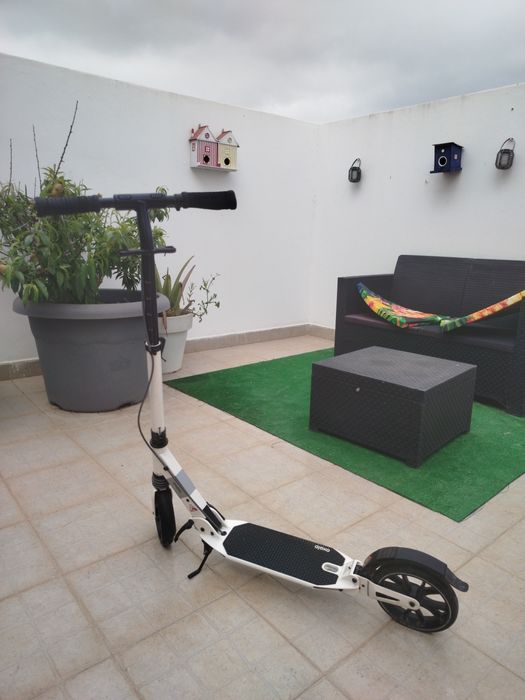 Trotinete town 7 XL