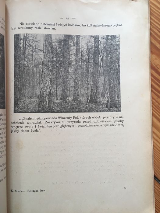 Estetyka lasu Karol Stieber 1929 leśnictwo