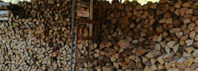 Lenha de pinho seca 35€ o metro cúbico