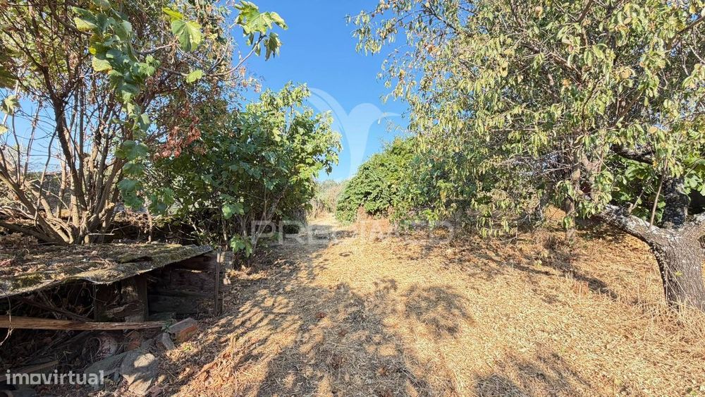 Moradia Com Terreno E Espaço Exterior – Brinço, Macedo De Cavaleiros