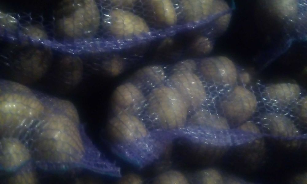 Продаю   інкубаційні  кур'ячі  яйця  Лівенська  ситцева +  Мастер грей