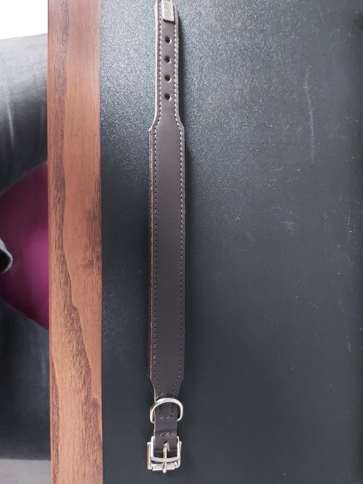 Obroża chart whippet Hunter 24 do 28 cm obwodu 2.5 cm