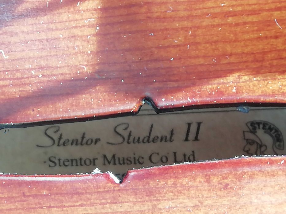 Viola d'Arco as New64286586344323120