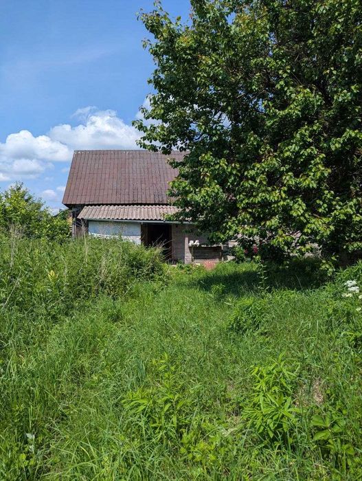 Продаж земельної ділянки 64 сот. с.Піддубці, 11 км. від Луцька є газ, світло