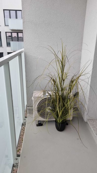 Apartament dwuosobowy ul. Zwycięska Wrocław