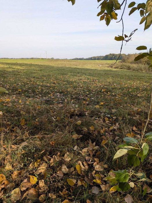 Duża działka pod lasem z warunkami zabudowy gmina Biskupiec