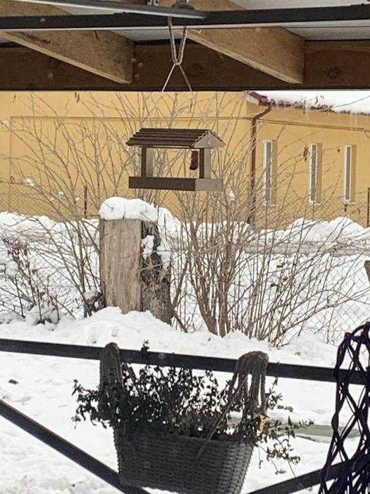 Невеличка годівниця для птахів дерев'яна