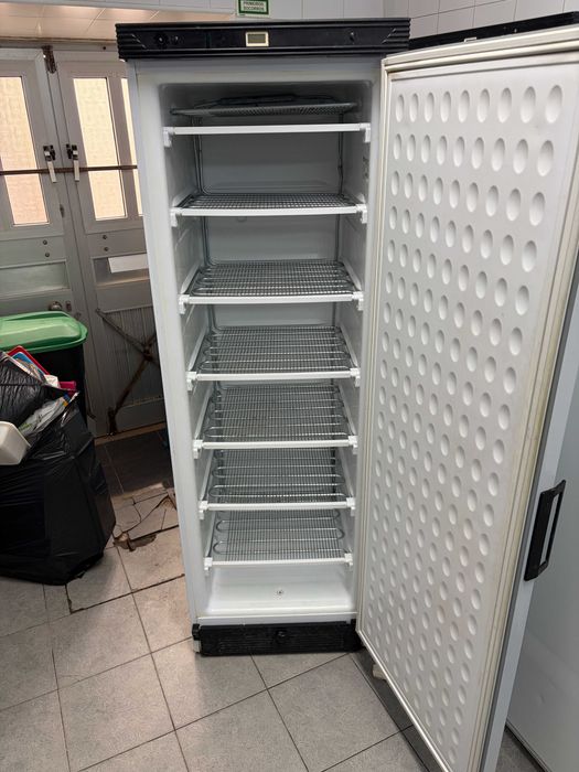 Arca congeladora Vertical - 270L