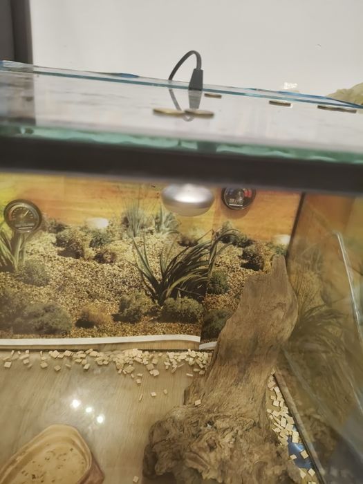 Piękne duże akwarium