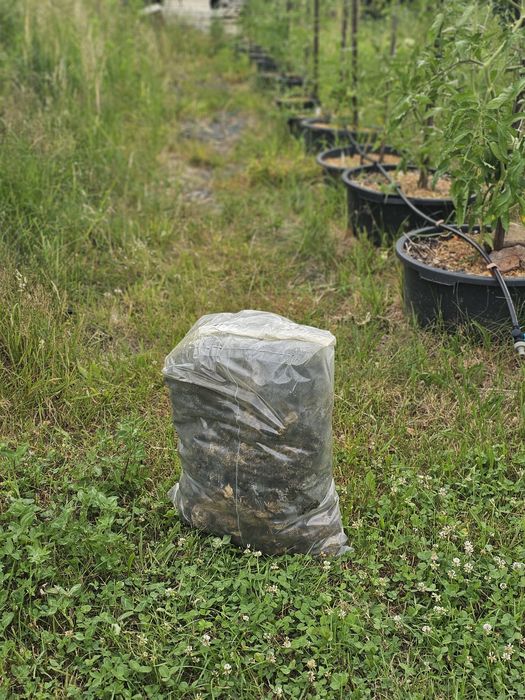 Obornik koński świeży 60 L  czysty bez dodatków  i kleju do granulatu. Nawóz do ogrodu.