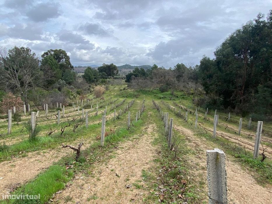 Quintinha — Aranhas, Castelo Branco