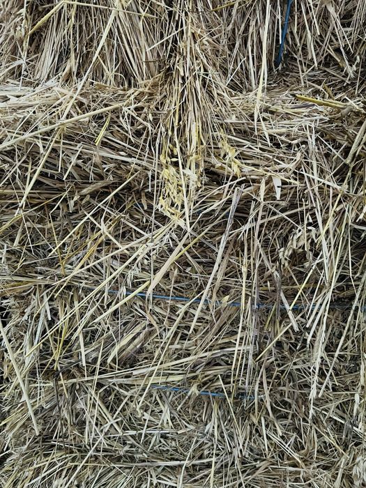 Fardos de feno com grãos