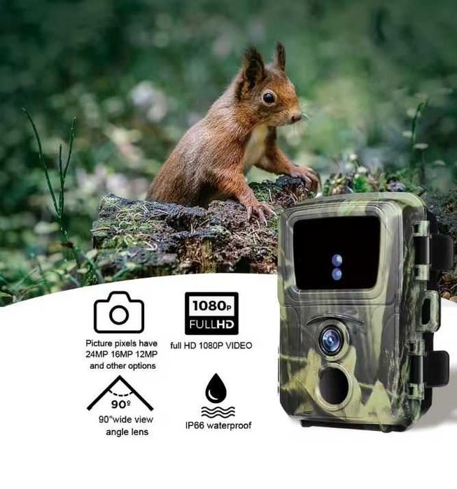 Foto pułapka kamera leśna noktowizor