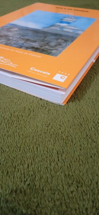 Nós e os árabes - coordenação Ângelo Correia