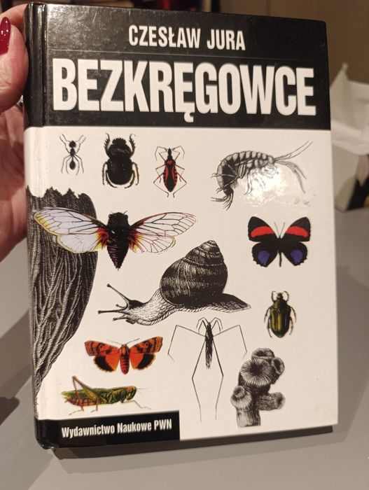 Cz. Jura Bezkręgowce